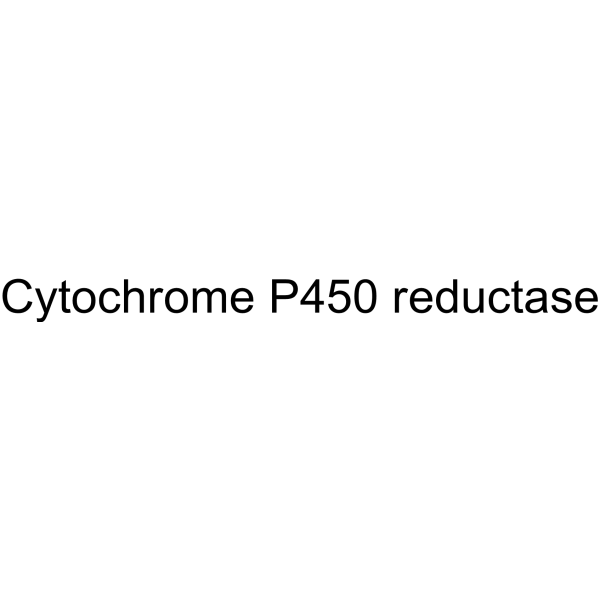 Cytochrome <em>P</em>450 reductase