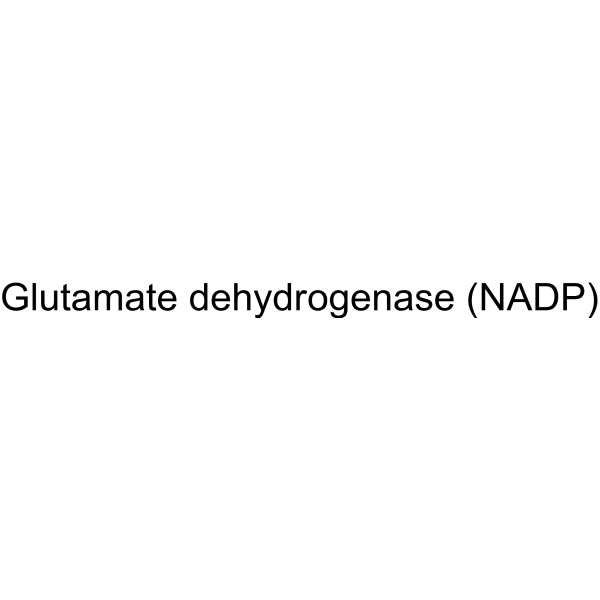Glutamate dehydrogenase (NADP)