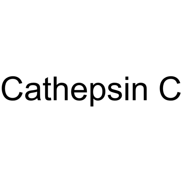 Cathepsin C Chemical Structure