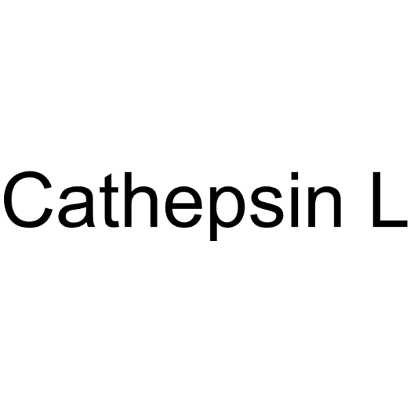 Cathepsin L Chemical Structure