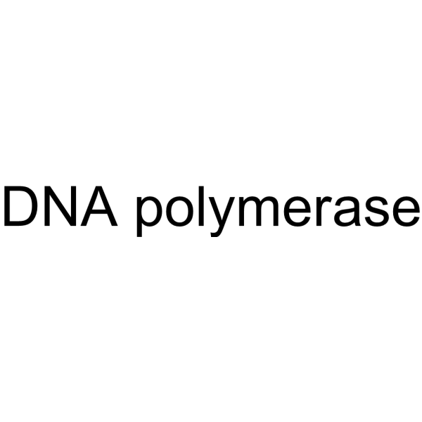 DNA polymerase Chemical Structure
