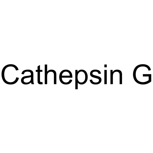 Cathepsin G Chemical Structure