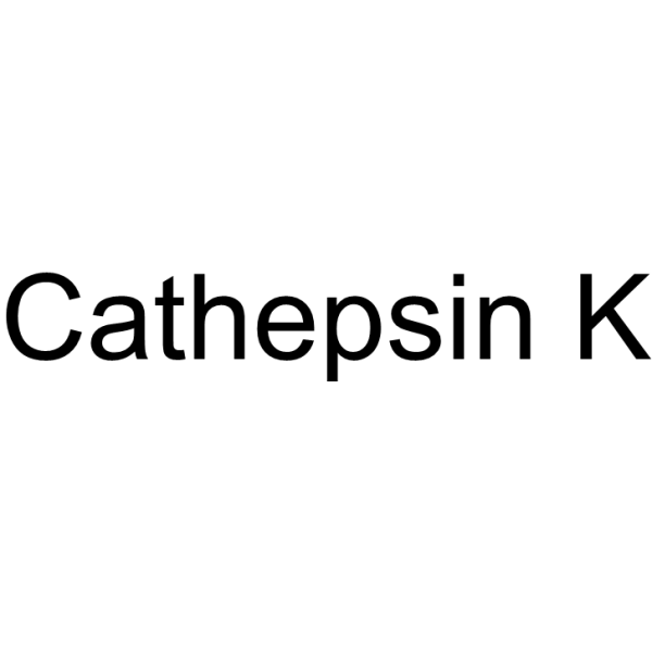 Cathepsin K Chemical Structure