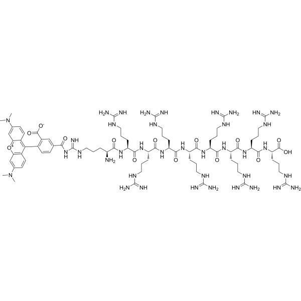 (Arg)9,TAMRA-labeled Chemical Structure