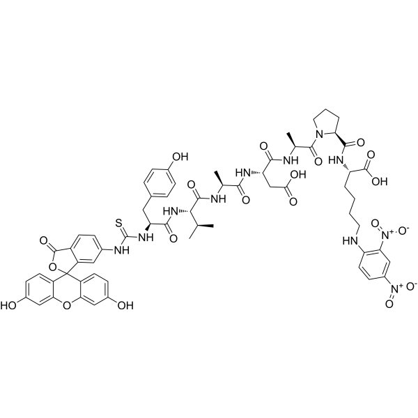 FITC-YVADAPK(Dnp) Chemical Structure