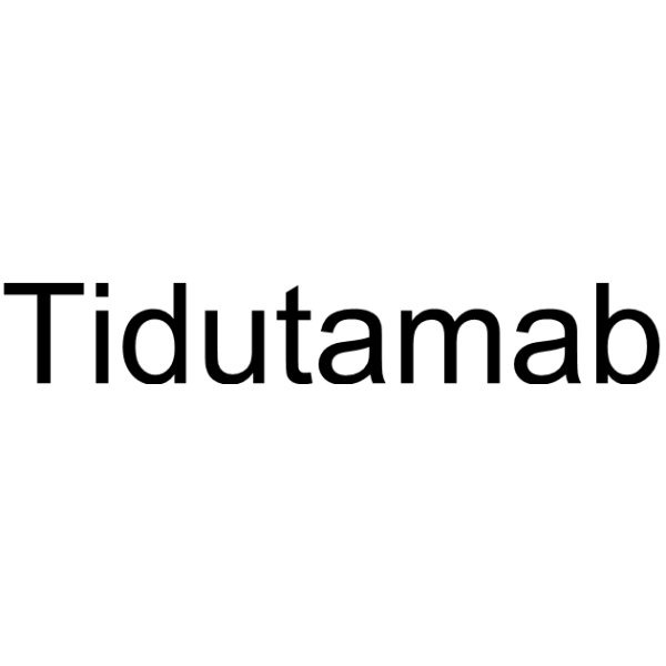 Tidutamab Chemical Structure
