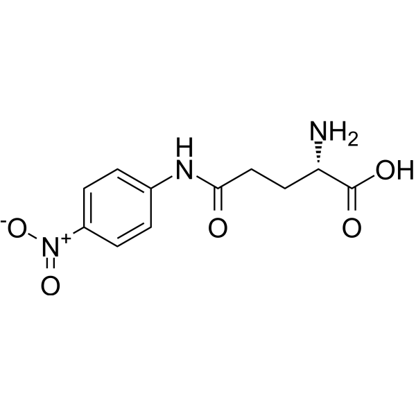 <em>L-γ-Glutamyl</em>-p-<em>nitroanilide</em>