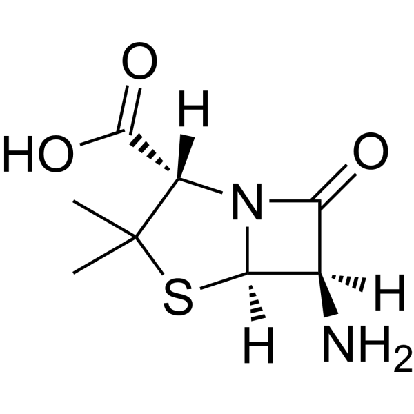 <em>6-Aminopenicillanic</em> acid