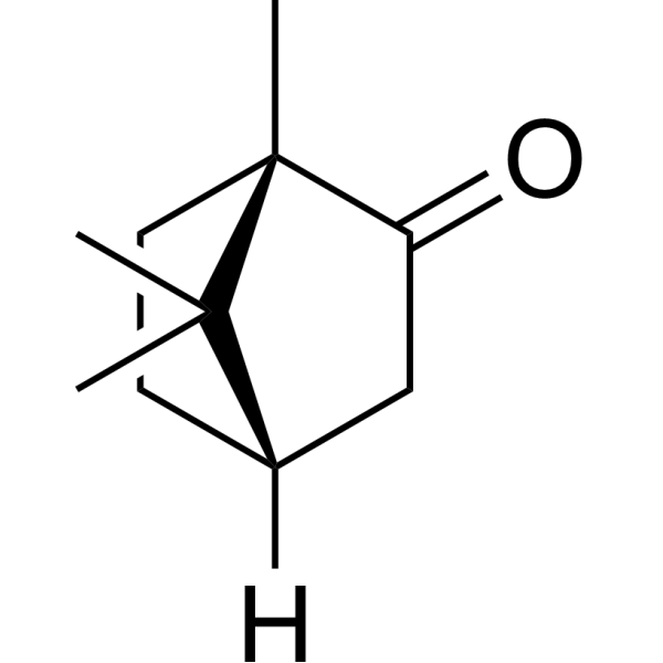 (-)-Camphor Chemical Structure