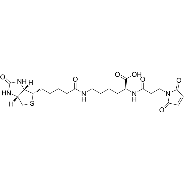 3-(N-Maleimidopropionyl)biocytin Chemical Structure