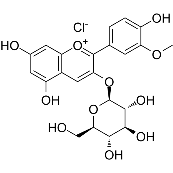 Peonidin 3-O-glucoside chloride Chemical Structure