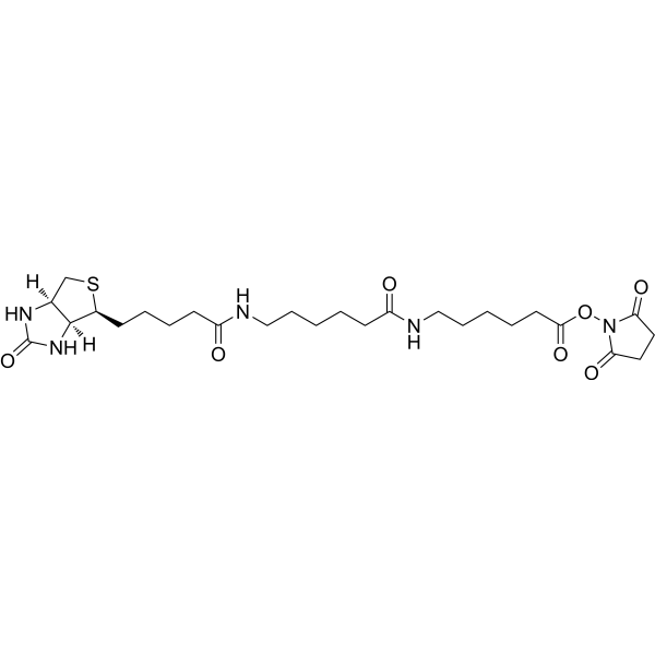 Biotin-LC-LC-NHS Chemical Structure
