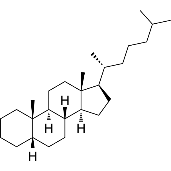 5β-Cholestane Chemical Structure