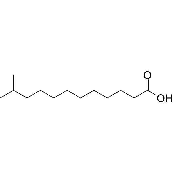 11-Methyllauric acid Chemical Structure