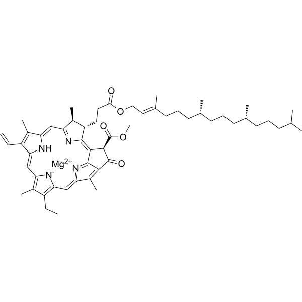 Chlorophyll a | Biochemical Assay Reagent | MedChemExpress