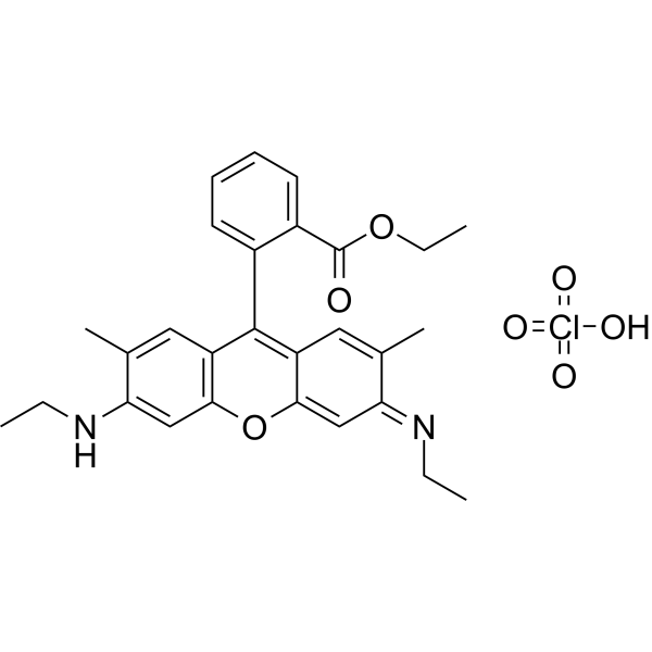 Rhodamine 6G perchlorate Chemical Structure
