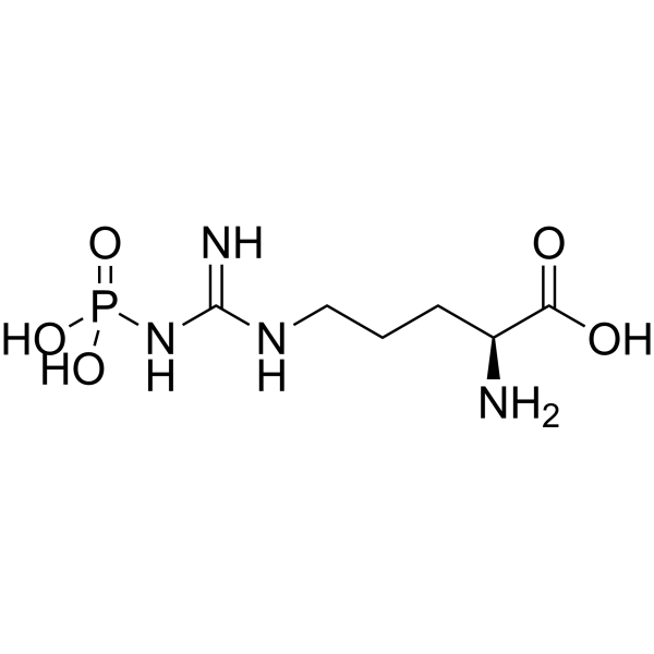 Phospho-L-arginine