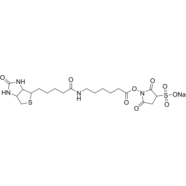 Sulfosuccinimidyl-6-(biotinamido)hexanoate sodium Chemical Structure