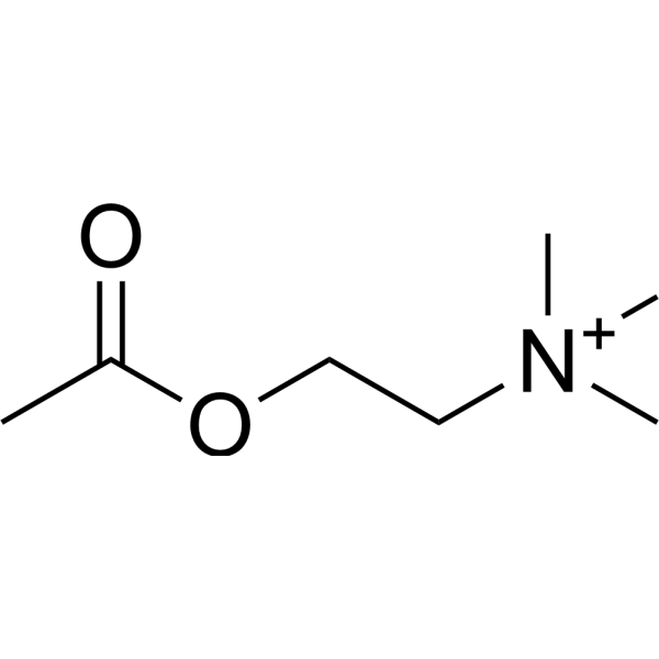 Acetylcholine (Standard) Chemical Structure