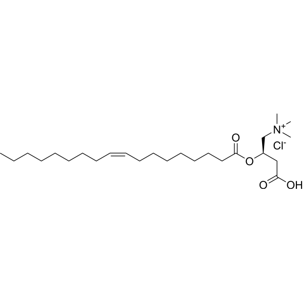 Oleoyl-L-carnitine chloride Chemical Structure