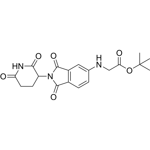 Thalidomide-5-NH-CH2-COO(t-Bu) Chemical Structure