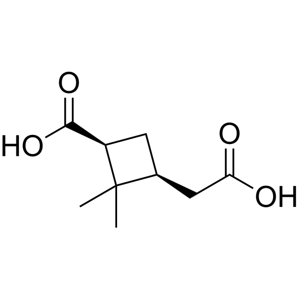 rel-cis-Pinic acid Chemical Structure