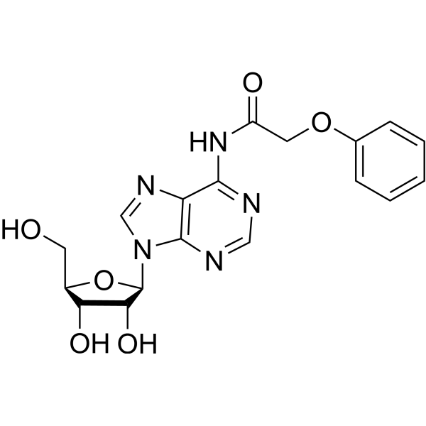 <em>N</em>-(<em>2</em>-Phenoxyacetyl)adenosine