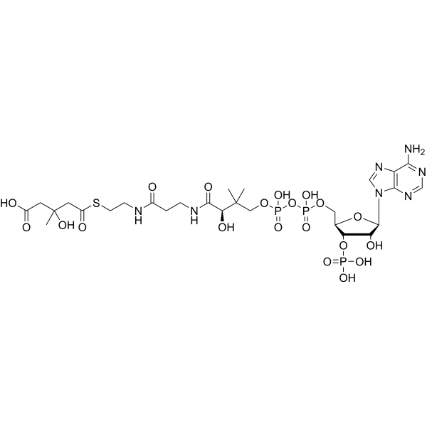 HMG-CoA Chemical Structure