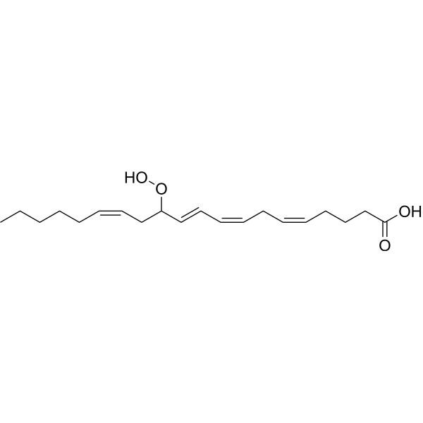 (+/-)12-HpETE Chemical Structure