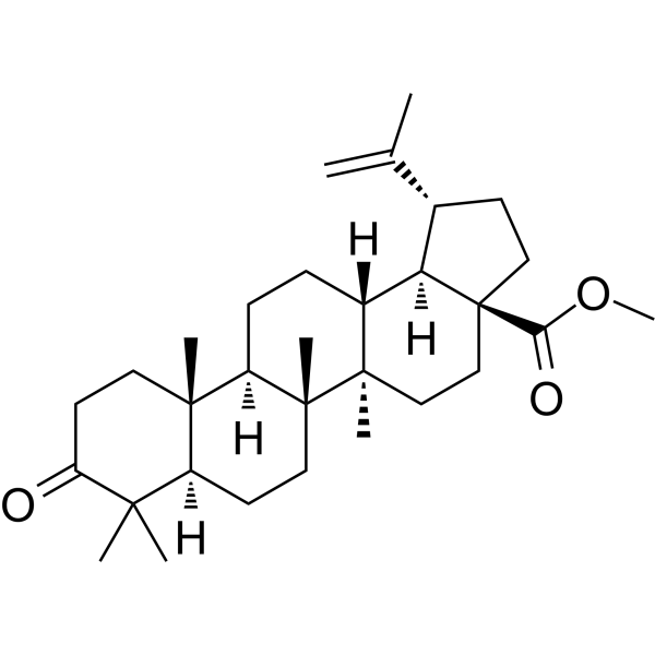 Methyl betulonate Chemical Structure