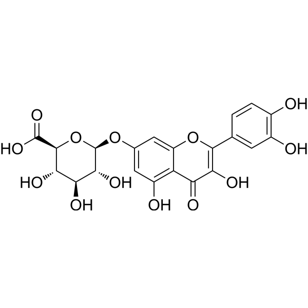 <em>Quercetin</em> 7-glucuronide