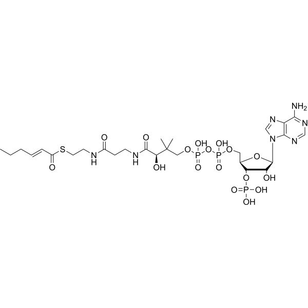 (2E)-Hexenoyl-CoA Chemical Structure